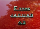 Jaguar E-Back Back