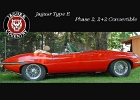 Jaguar E-Titel Web