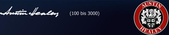 (100 bis 3000)
